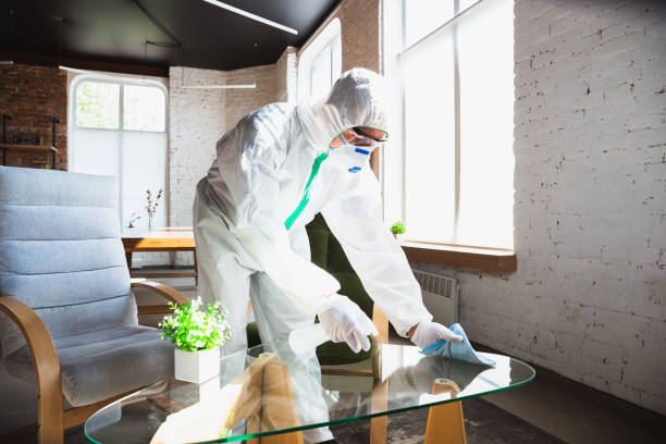 Best Industrial Mold Remediation  in Rosewood Heights, IL